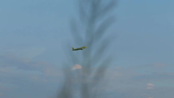 Avión Vuela Cielo Vista Desde Tierra — Vídeos de Stock