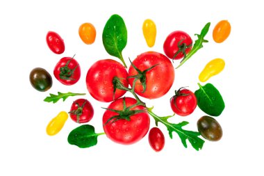 Beyaz arka planda izole edilmiş su damlalarıyla çeşitli renkli domates ve fesleğen yaprakları. Üst manzara, düz uzanma