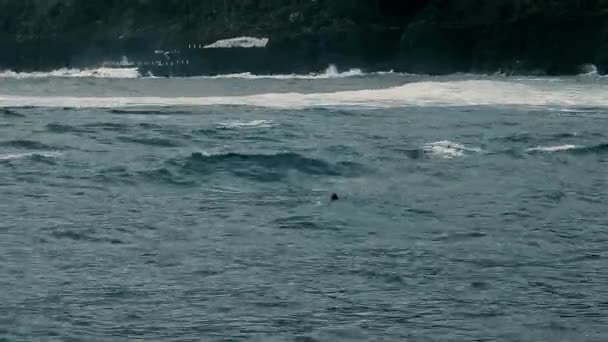 Дівчина Плаває Водяним Рубанком Через Хвилі Звуки Морських Хвиль Чутно — стокове відео