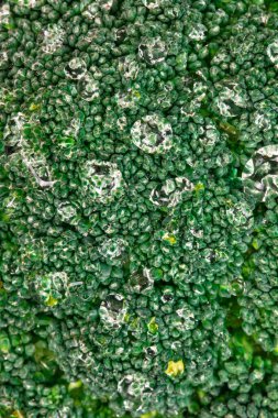 Arka plan makro fotoğrafı, su damlalı organik brokoli. Sağlıklı yiyecek kavramı, taze sebzeler.