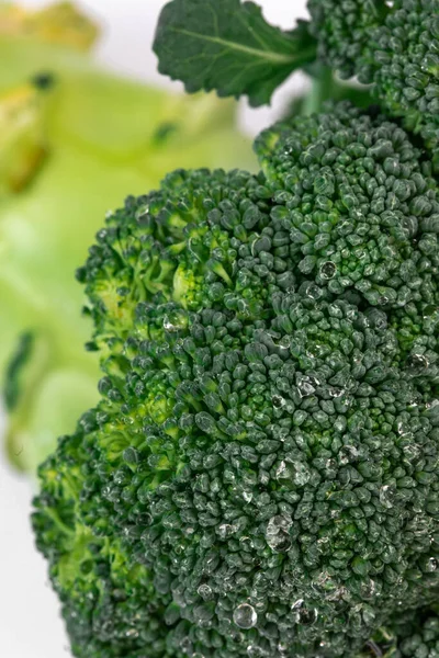 Infiorescenze Broccoli Con Gocce Acqua Fondo Bianco Macro Fotografia Vegetale — Foto Stock