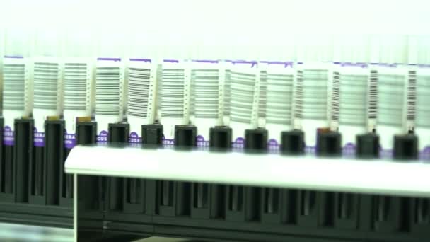 Mnóstwo Próbek Krwi Zapakowanych Wyspecjalizowane Tuby Badań Obecność Koronawirusów — Wideo stockowe