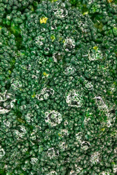 Makro Fotózás Friss Organikus Brokkoli Vízcseppekkel Biozöldségek Egészségügyi Koncepciója — Stock Fotó