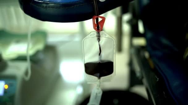 Pobieranie Krwi Dawcy Specjalistycznym Pojemniku — Wideo stockowe