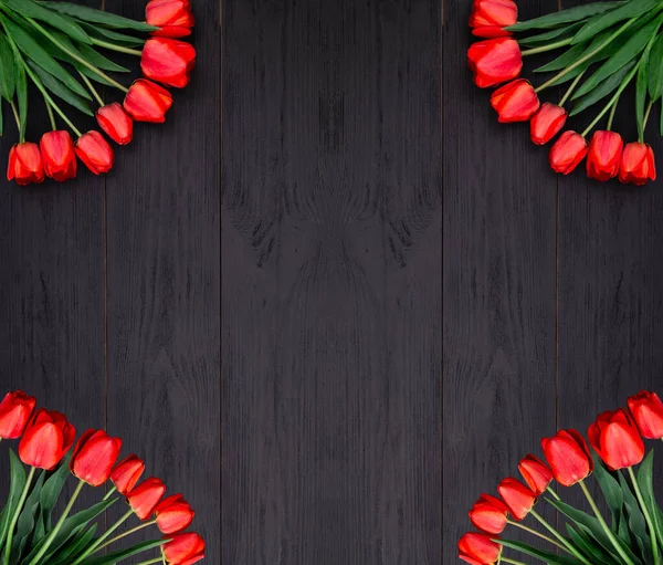 Tulips arranged in all four corners of the rustic black wooden background with copy space, top view. Spring flowers for mother\'s day and Easter