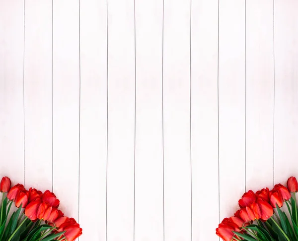 Two bouquets of tulips in the lower corners of the white rustic wooden background with copy space, top view. Spring flowers for mother's day and Easter