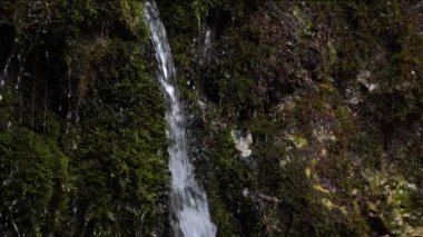 Kayadan su sızıyor. Suyun sızıntısının sesi.