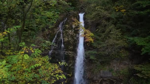 Cascata Cascata Una Roccia Ricoperta Erba Cespugli Suono Dell Acqua — Video Stock