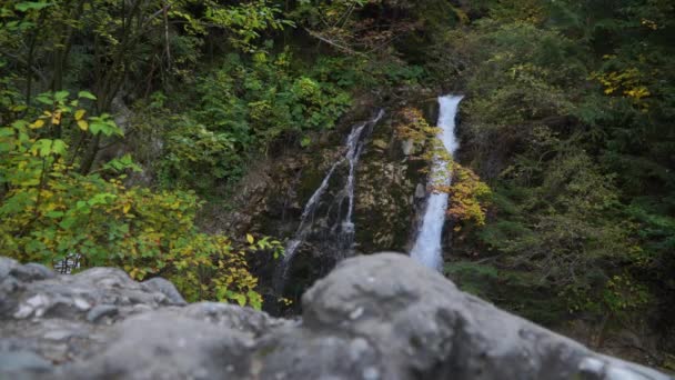 Cascada Cascada Una Roca Cubierta Hierba Arbustos Sonido Del Agua — Vídeos de Stock