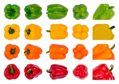 Dört farklı renkte büyük bir dolma biber seti ve beyaz arka planda izole edilmiş su damlalarıyla farklı pozisyonlarda. Taze sebze, sağlıklı organik gıda konsepti.