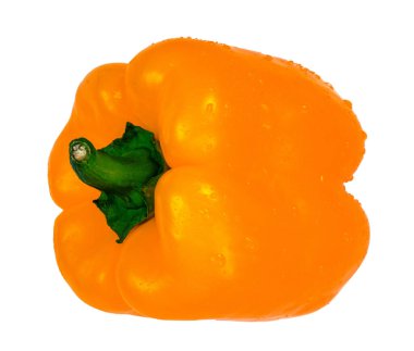 Beyaz arka planda izole edilmiş, içinde su damlaları olan sarı dolmalık biber. Taze çiğ sebze, sağlıklı organik gıda konsepti.