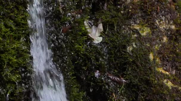 岩石漏水了 漏水的声音 — 图库视频影像