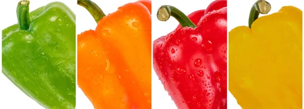 Macro Photography Bell Peppers Four Colors Red Yellow Green Orange — Stock Photo, Image