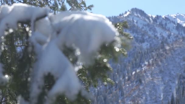 Paesaggio montano invernale — Video Stock