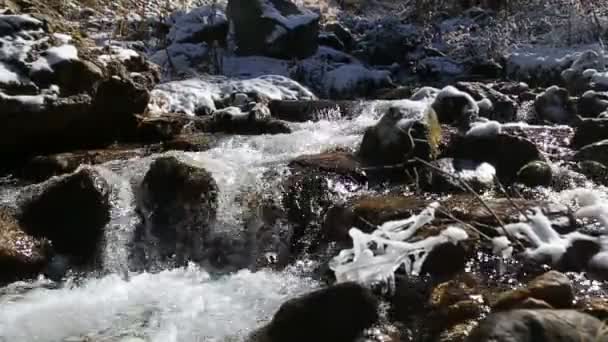Gebirgswasserfall im Winter — Stockvideo