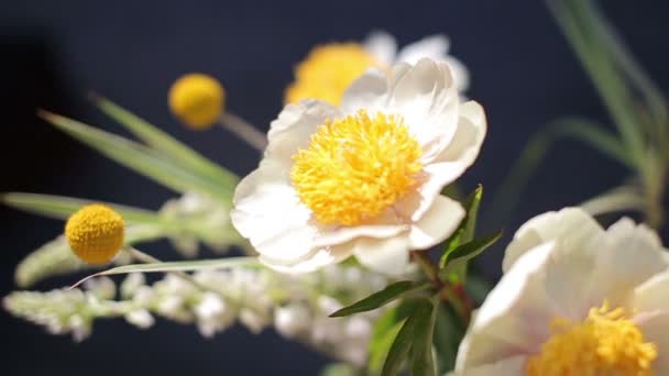 植物区系的夏天束鲜花 — 图库视频影像