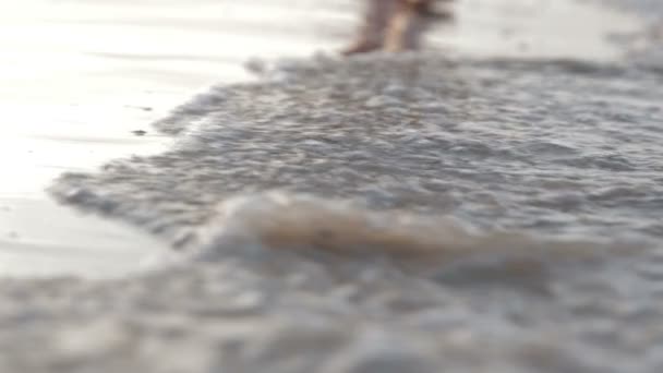 Panorama von weichen meerwellen bis zu schönen weiblichen beinen am sandstrand in der nähe von sonnenuntergang in italien — Stockvideo