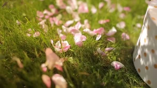 A girl skattering rose petals over the green grass for festive floral decoration — Stock Video