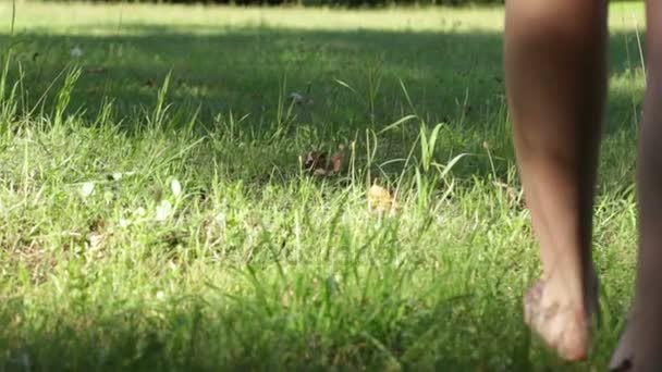 Slim beautiful white caucasian female legs walking at green sunny lawn — Stock Video