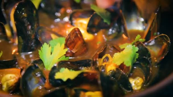 Mejillones en cocina restaurante de mariscos — Vídeos de Stock