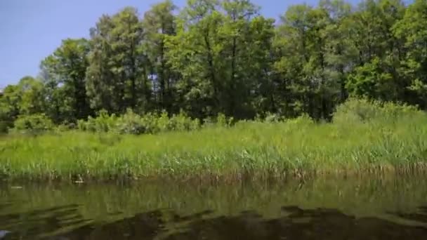 Вид из воды на берег реки — стоковое видео