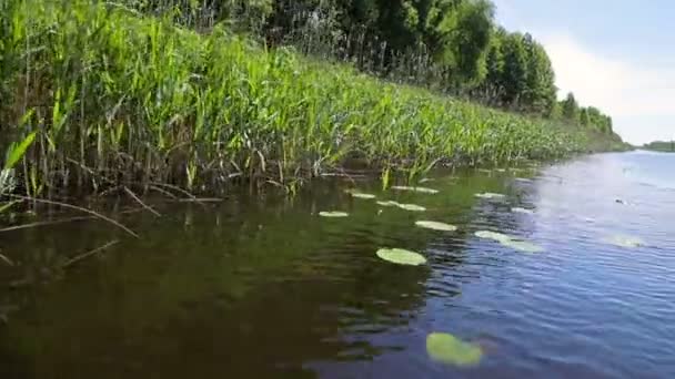 Traverser la rivière - caméra pov vue sur l'eau — Video