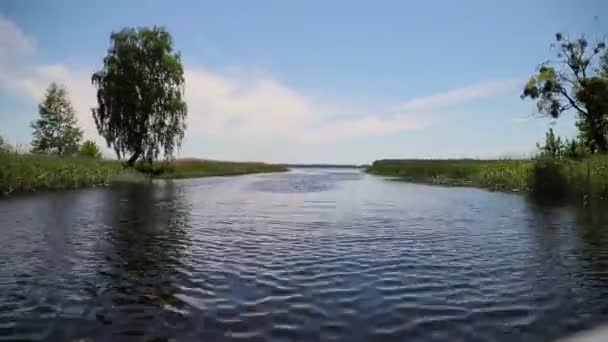 Река, впадающая в озеро, камера, летящая над поверхностью воды — стоковое видео