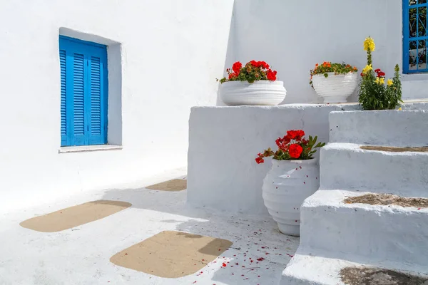Traditionella grekiska blå och vita hus med blomma i stora krukor — Stockfoto