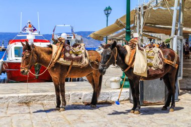 Eşekler bağlantı noktası Hydra Adası, Saronikos Körfezi, Yunanistan deniz yoluyla
