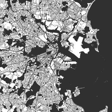 Boston tek renkli harita satın