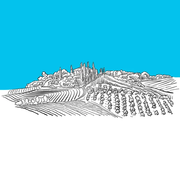 Weinberg Hügel und Landschaft, blaue Serie — Stockvektor