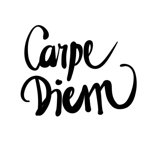 Carpe diem, usa el día — Vector de stock