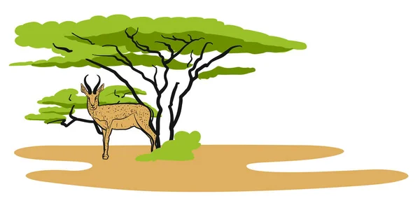 Antilop i savanna, Illustration — Stock vektor