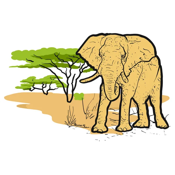 Éléphant dans la savane Illustration colorée — Image vectorielle