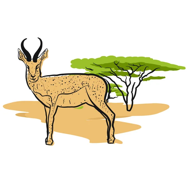 Antylopy w savannah — Wektor stockowy