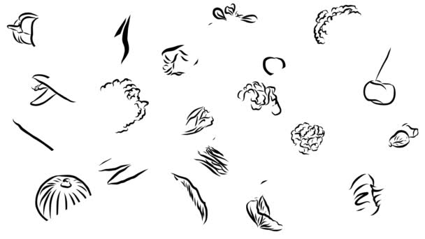 Овощи Sketch Animated Lineart — стоковое видео