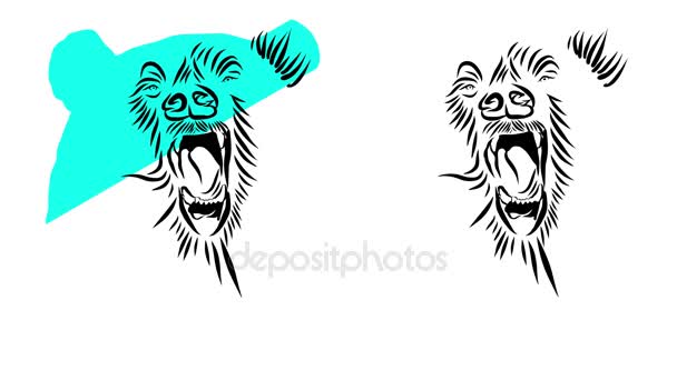 Grizzly salvaje, dibujado a mano Animated LineArt . — Vídeos de Stock