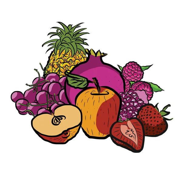 Färska sommarfrukter — Stock vektor