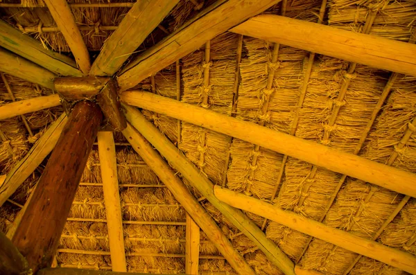 Telhado de árvore de madeira interior — Fotografia de Stock