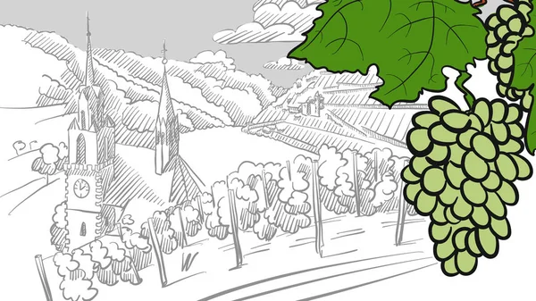 Vitigni e paesaggio viticolo — Vettoriale Stock