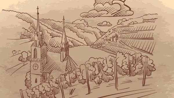 Виноградник краєвид в Європі — стоковий вектор