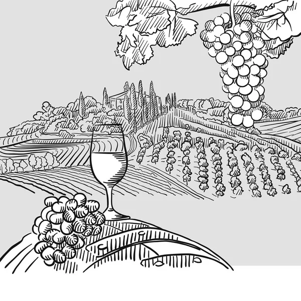 酒桶葡萄和景观图 — 图库矢量图片