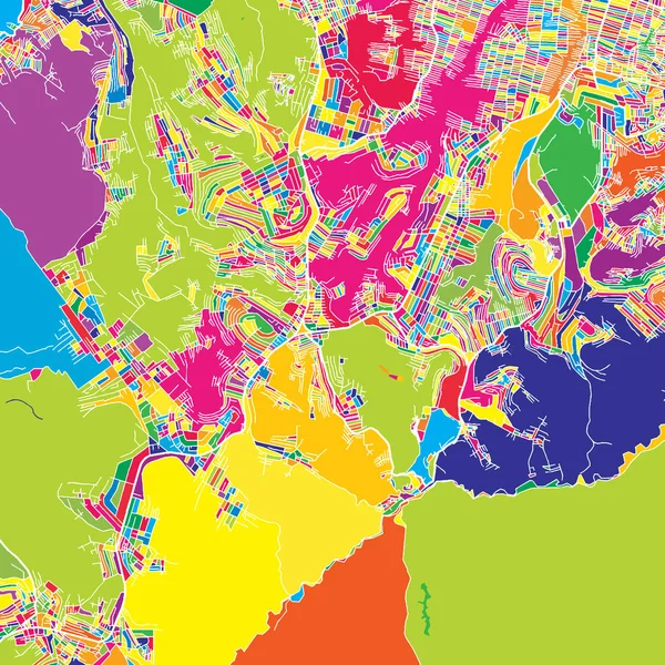 Kinshasa, The Congo, Democratische Republiek, kleurrijke vector kaart — Stockvector