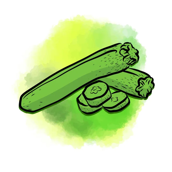 Zucchini bemalten Hintergrund — Stockvektor
