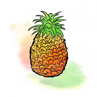 Ananas renkli çizimi