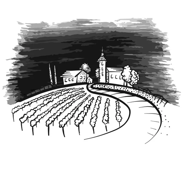ブドウ畑とパスを持つ丘の上の家 — ストックベクタ