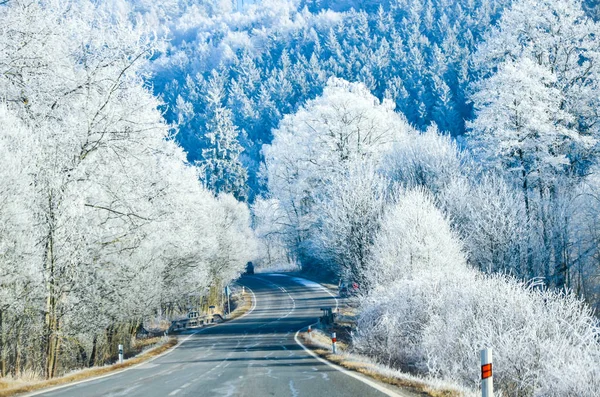 Winter Landscape with icy road. Aerial view trees background Travel scenery
