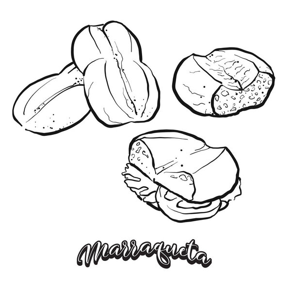 Marraqueta food sketch separated on white