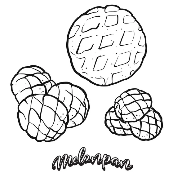 Esboço de comida de melonpan separado em branco —  Vetores de Stock