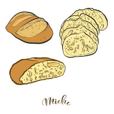 Colored drawing of Miche bread. Vector illustration of Leavened food, usually known in France. Colored Bread sketches. clipart